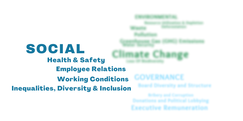 Social Risk Word Cloud