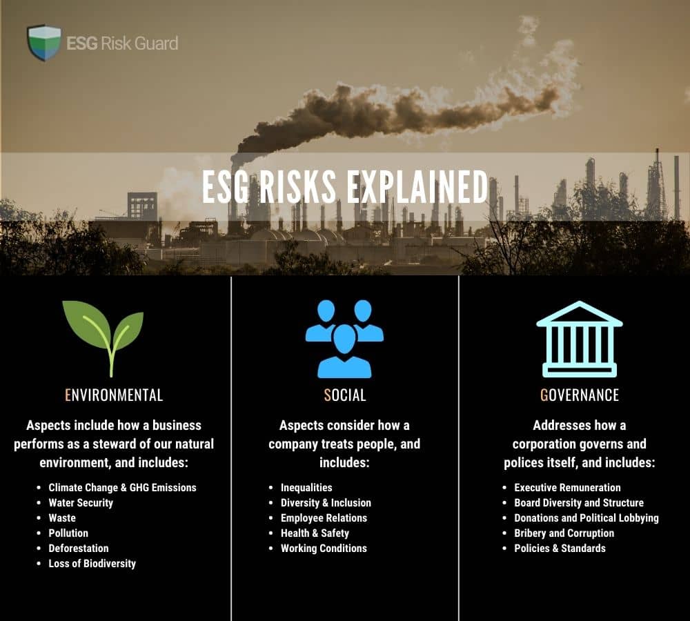 ESG Risks Infographic