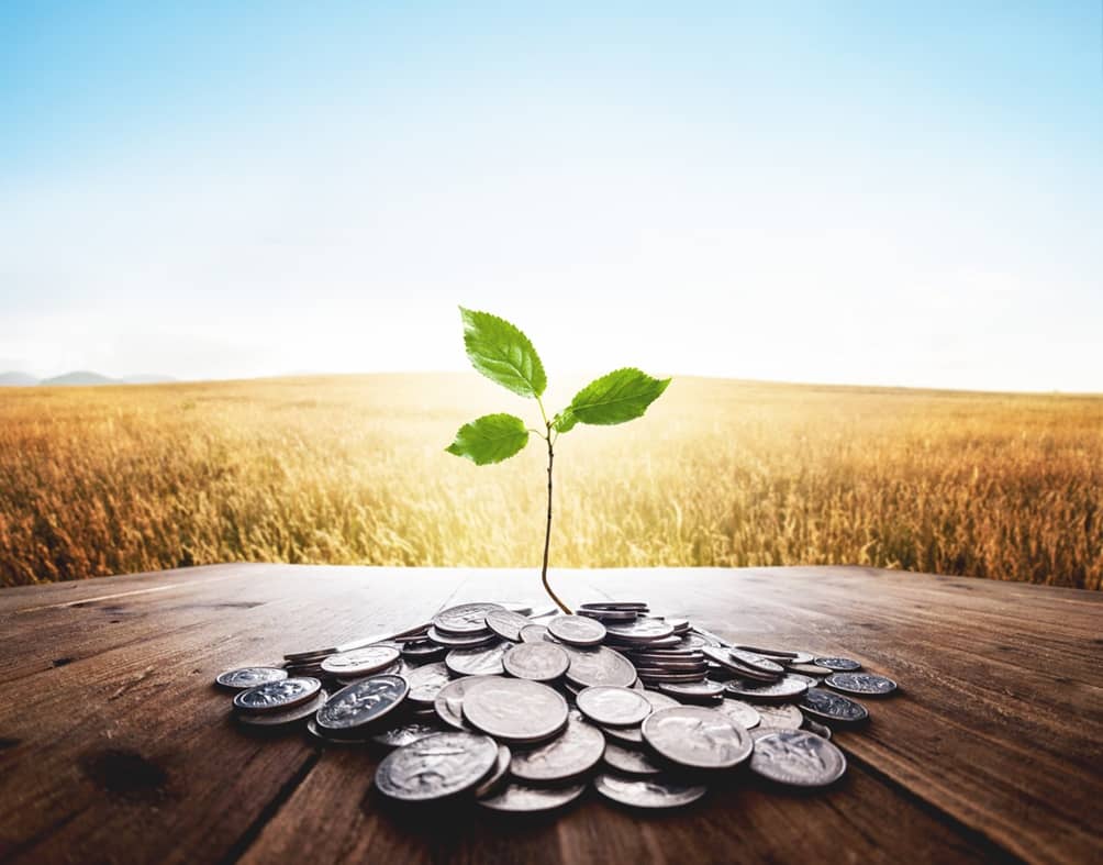 Sapling rising from coins with a background field of wheat round