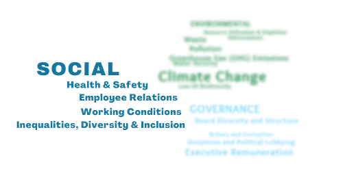 Social Risk Word Cloud