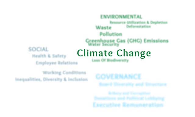 Climate Risks Word Cloud