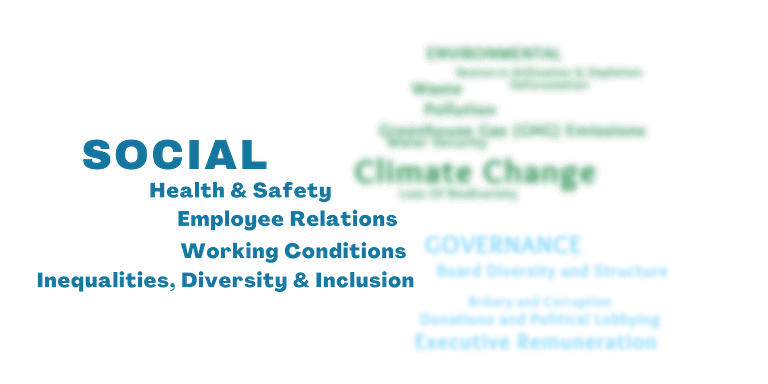 Social Risk Word Cloud