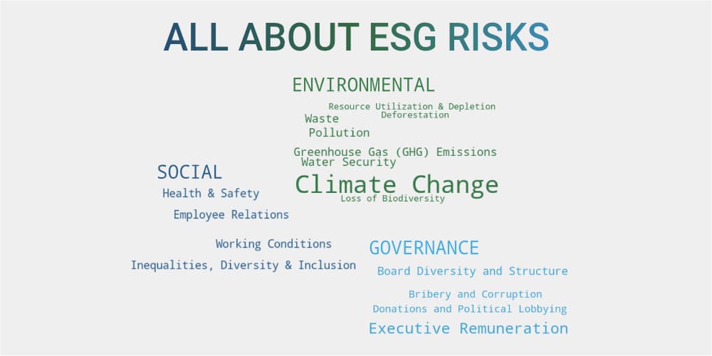 All About ESG Risks